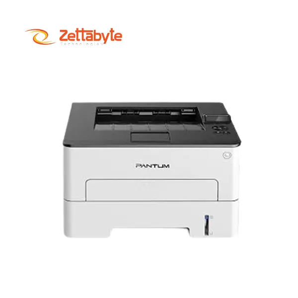 Pantum P3010DW Single Function Printer